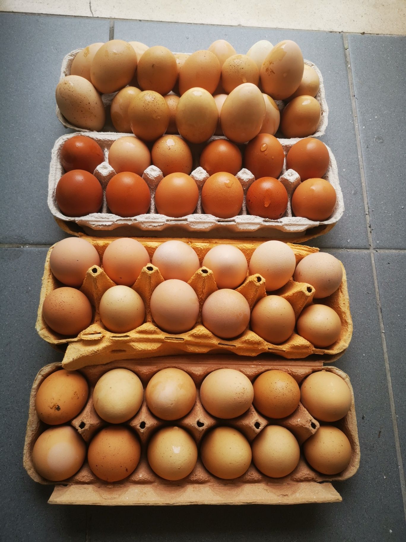 Vendo ovos caseiros
