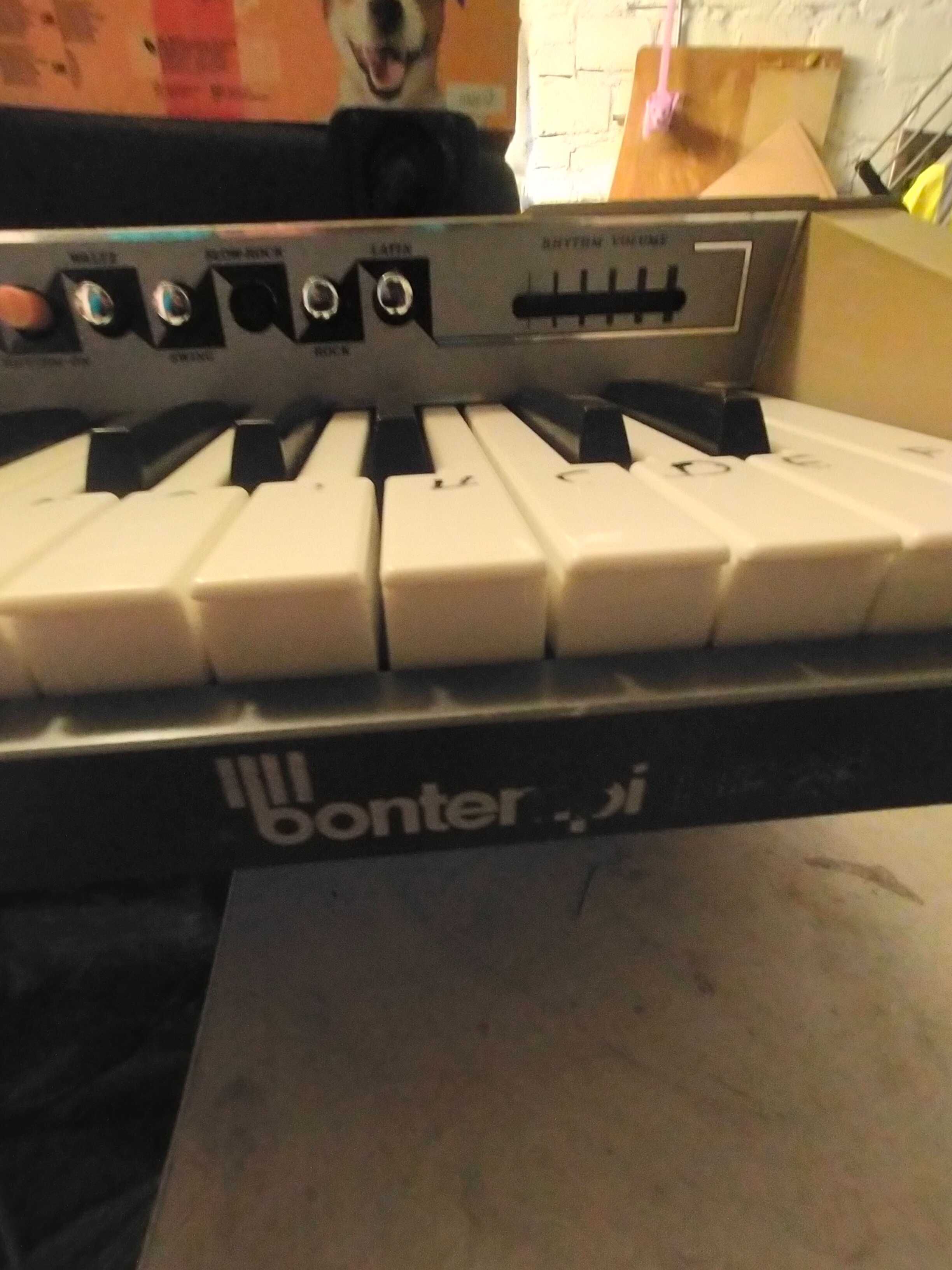 Organy Orla rubby i bontempi unikat dwa instrumenty za 300