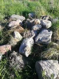 Kamienie duże polne