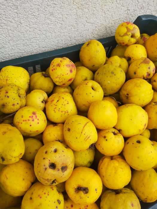 Sok z pigwowca 330 ml