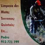 Manutenção dos terrenos