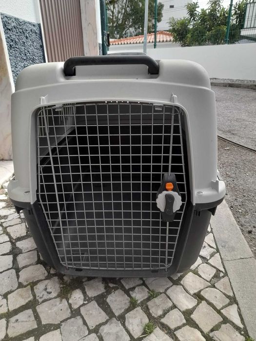 Transportador de cães