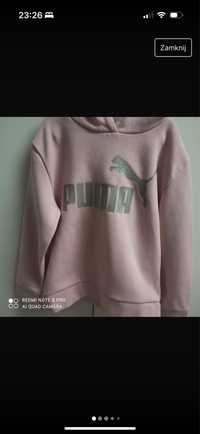 Bluza puma 122 128 dziewczynka