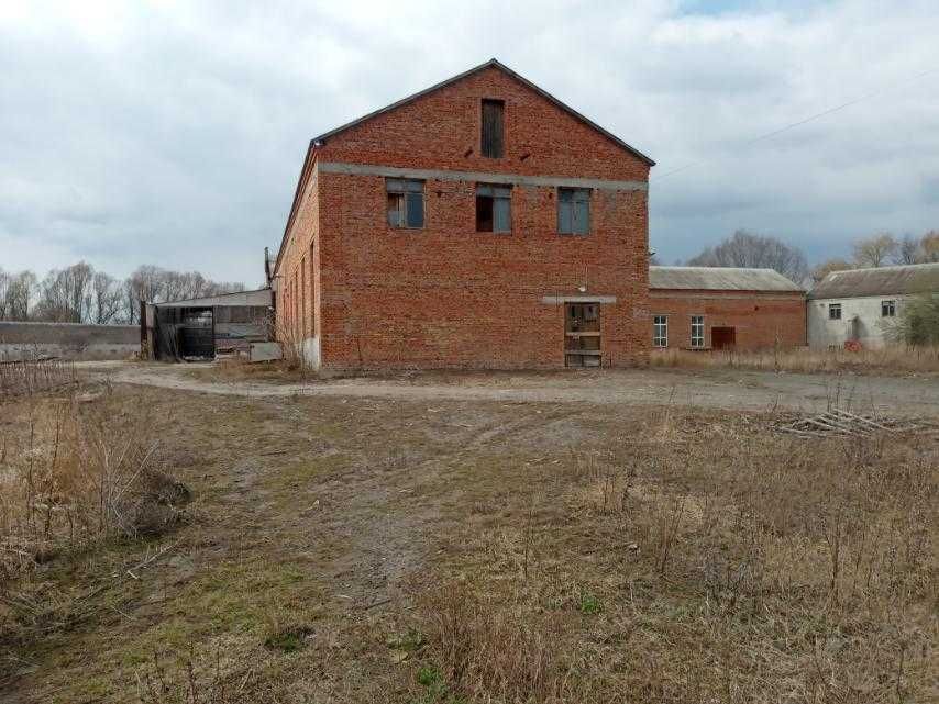 Промислові приміщення 1200-6000м2 під виробництво склад