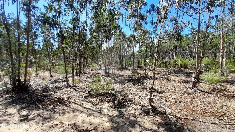 Terreno  para venda