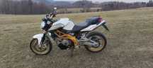 Aprilia Shiver 750