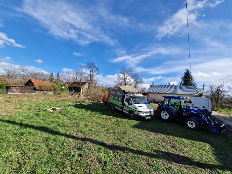 Wycinka drzew, uslugi rębakiem, wycinka tui , frezowanie pni, koszenie