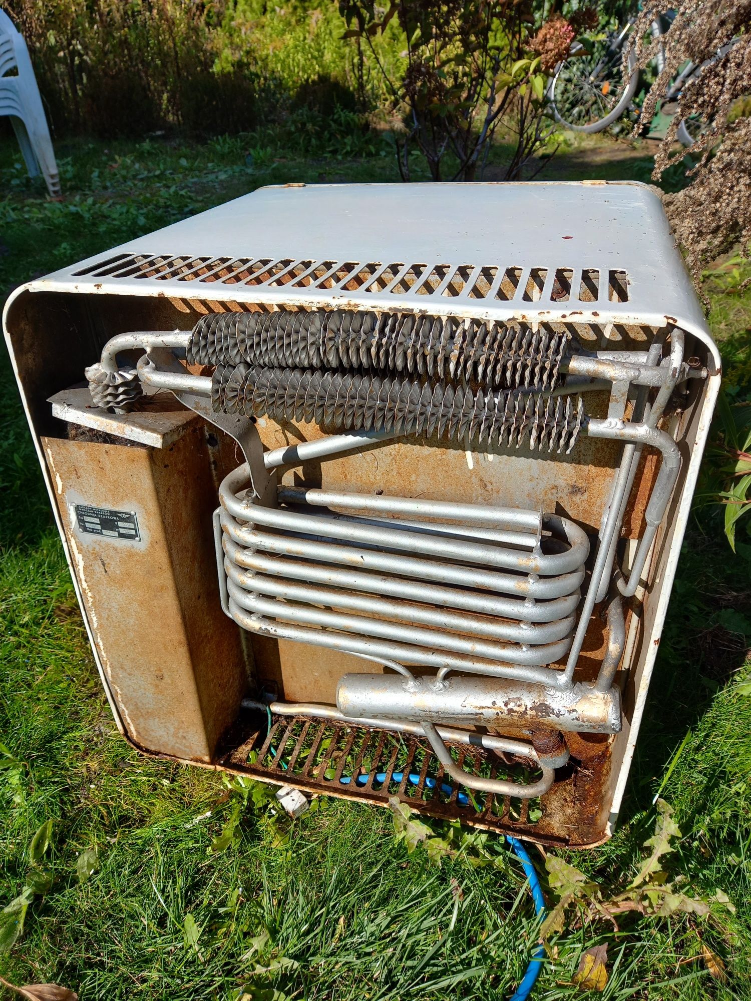 Chłodnia szafkowa Pierwsza lodowka z 1959 r. Unikat z PRL 100 W retro