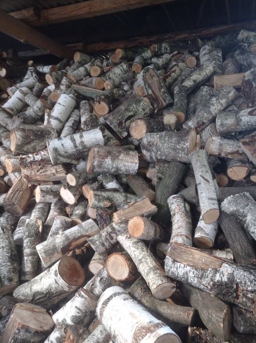 Drewno, liściaste, dąb, grab, brzoza, opał suche,  sezonowane, dowoz