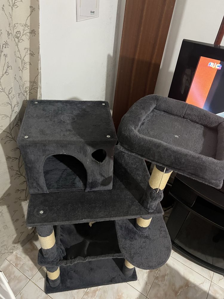 Vendo conjunto todo
