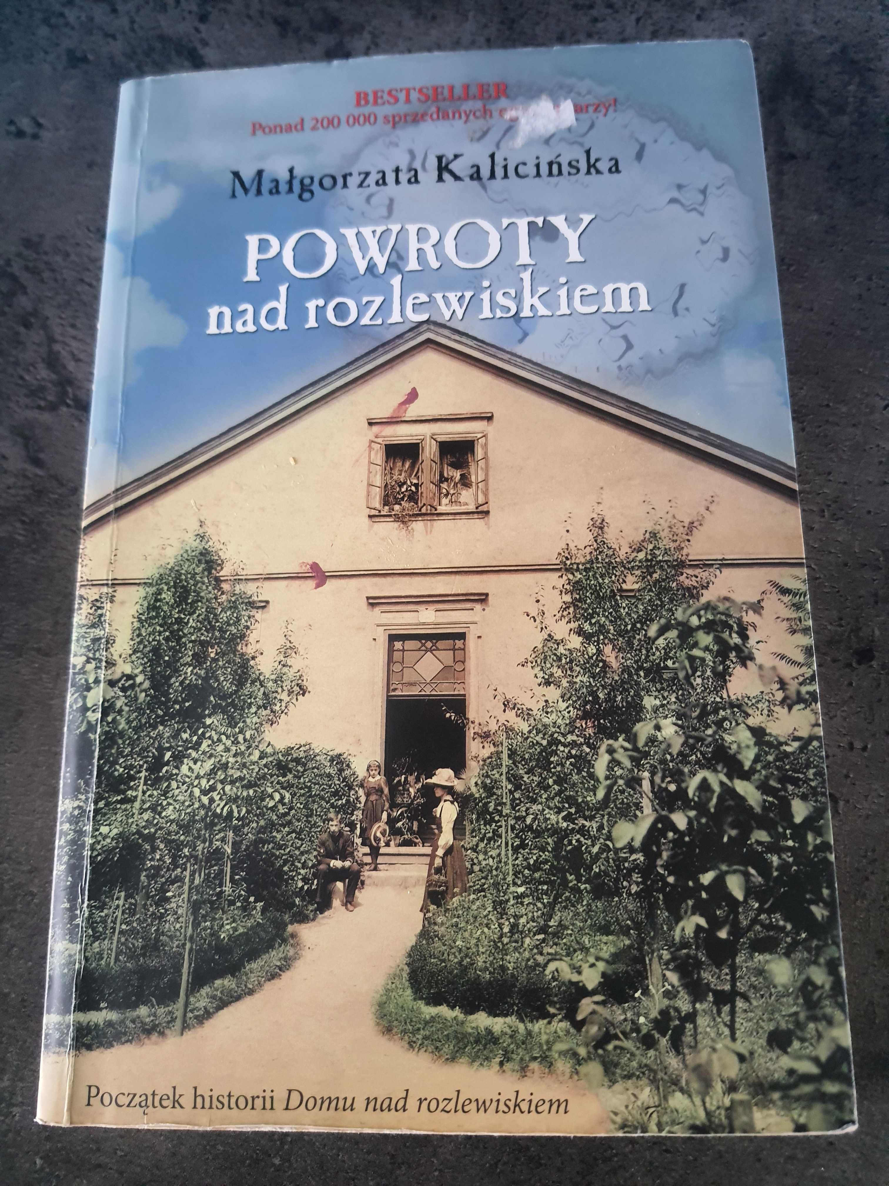 Powroty nad Rozlewiskiem - Malgorzata Kalicinska