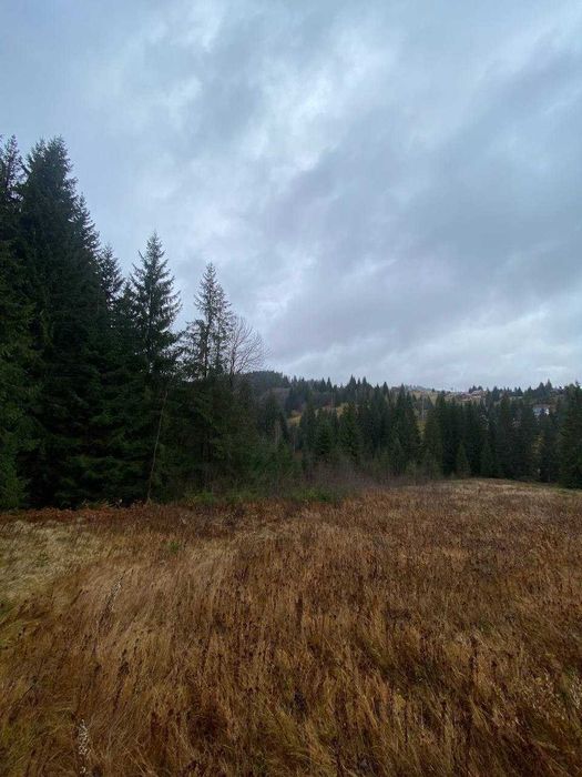 Продаж земельної ділянки в с.Яблуниця