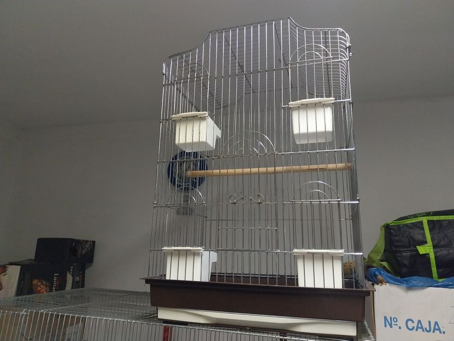 Viveiros com assessorias