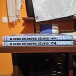 W Cieniu Betonowej Dżunglii manga