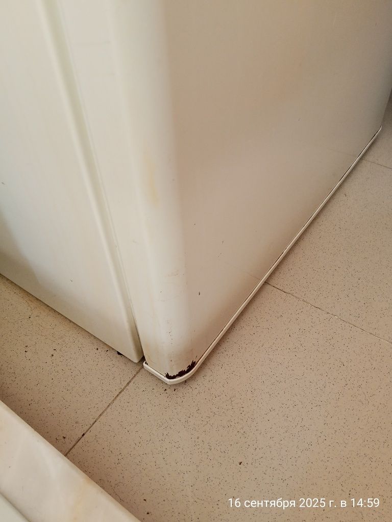 Frigorífico usado