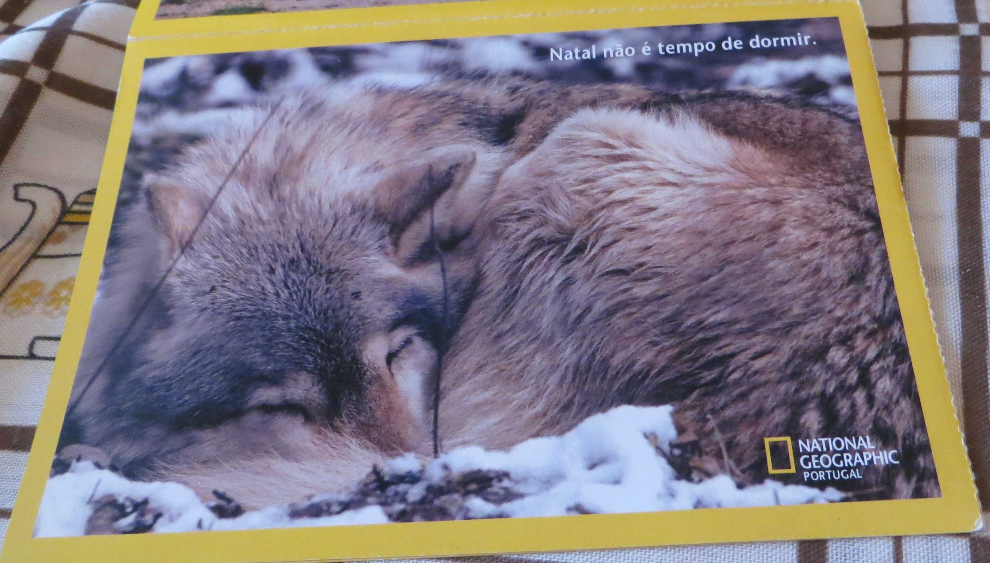 Relaxar no Mundo Maravilhoso Animais, Com lindas mensagens - 4 Unid.