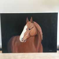 Obraz koń ręcznie malowany amatorski autorski
