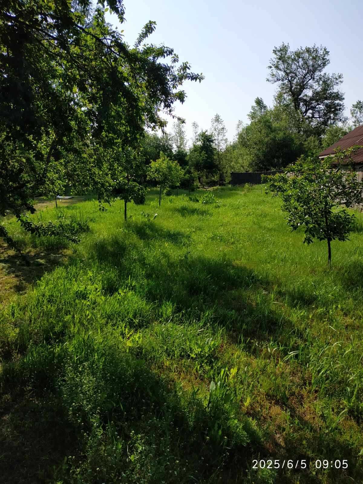 Дача на березі Тетерева, перша лінія.