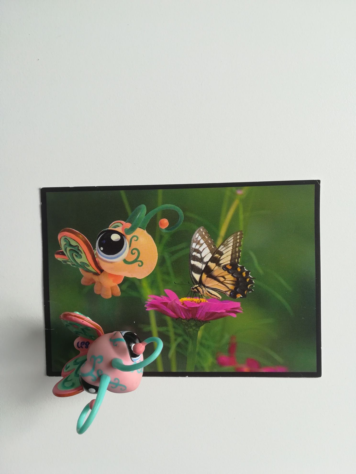 UNIKAT Littlest Pet Shop motyl w zestawie z limitowaną pocztowka