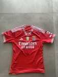 Camisola Benfica assinada Rui Costa
