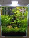 Akwarium 30l Aquael