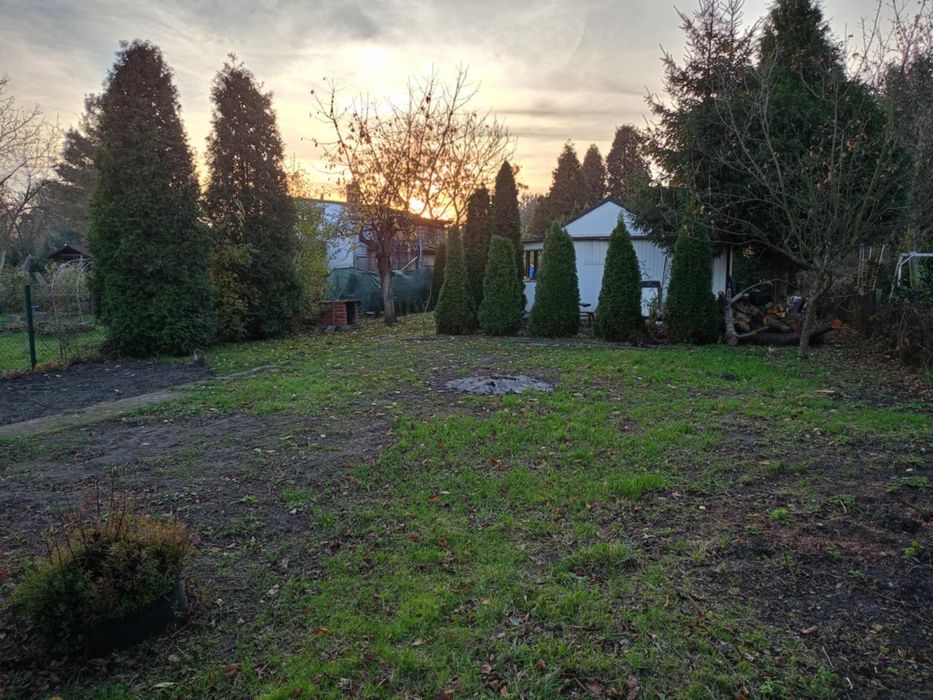 Działka rekreacyjna Sosnowiec Niwka na terenie ośrodków działkowych