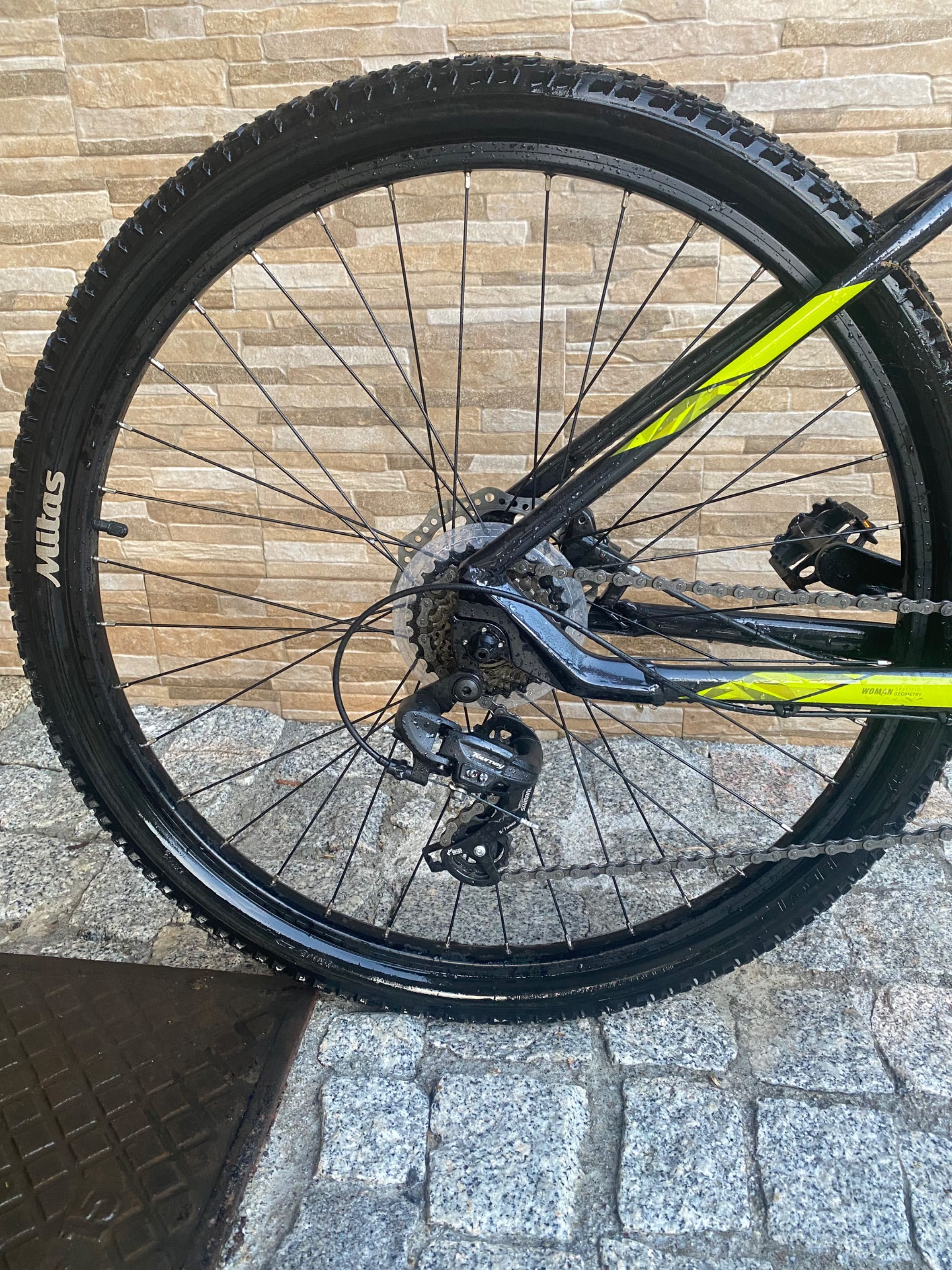 Bicicleta Coluer Alice 272