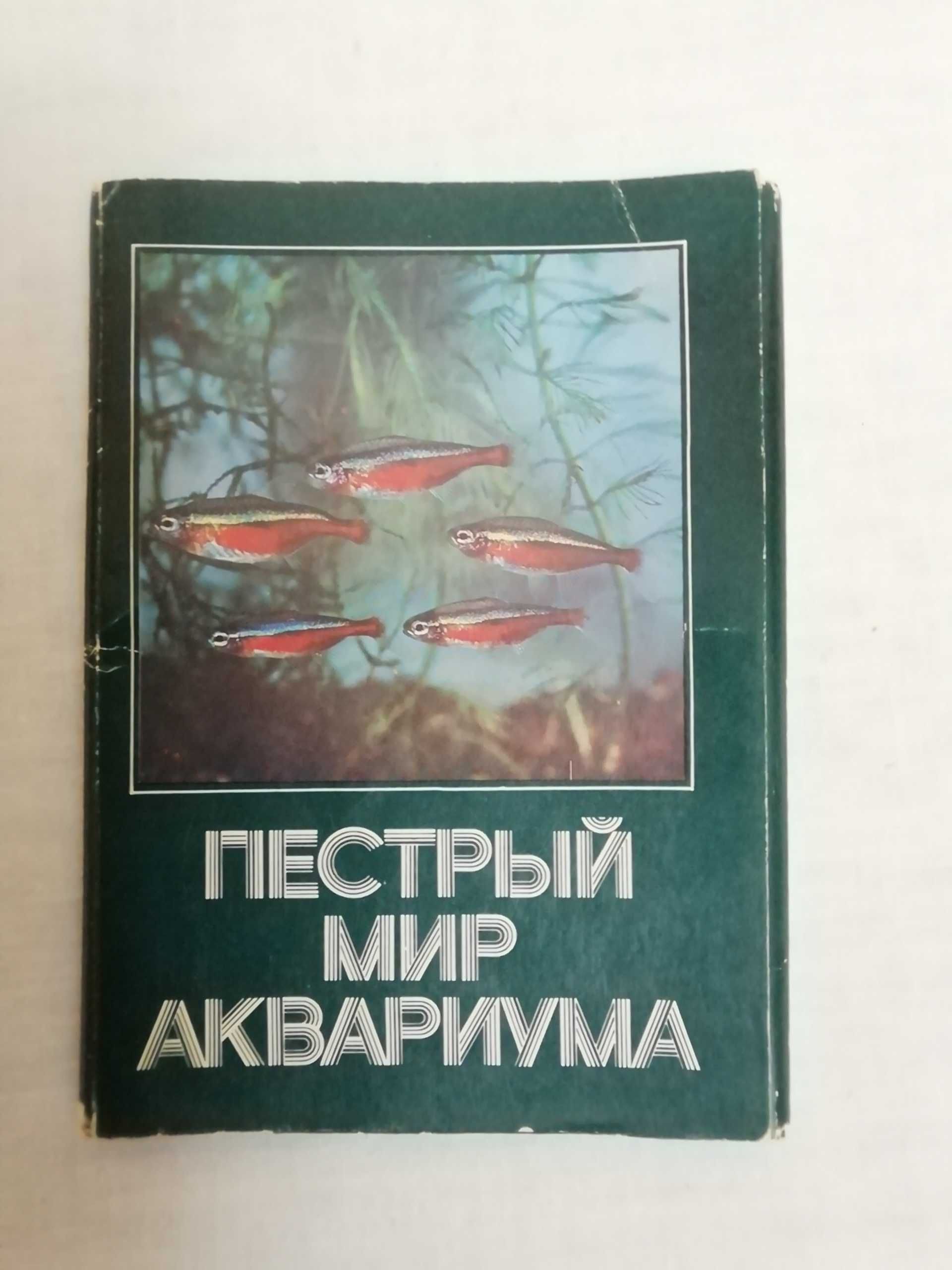 Пестрый мир аквариума разведение аквариумных рыб набор открыток 25 шт