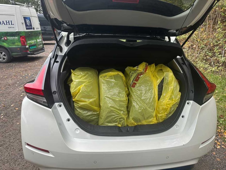 Nissan Leaf 2019 з Європи