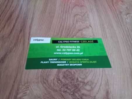 Calypso Fitness Czeladź voucher na kwotę 39 zł