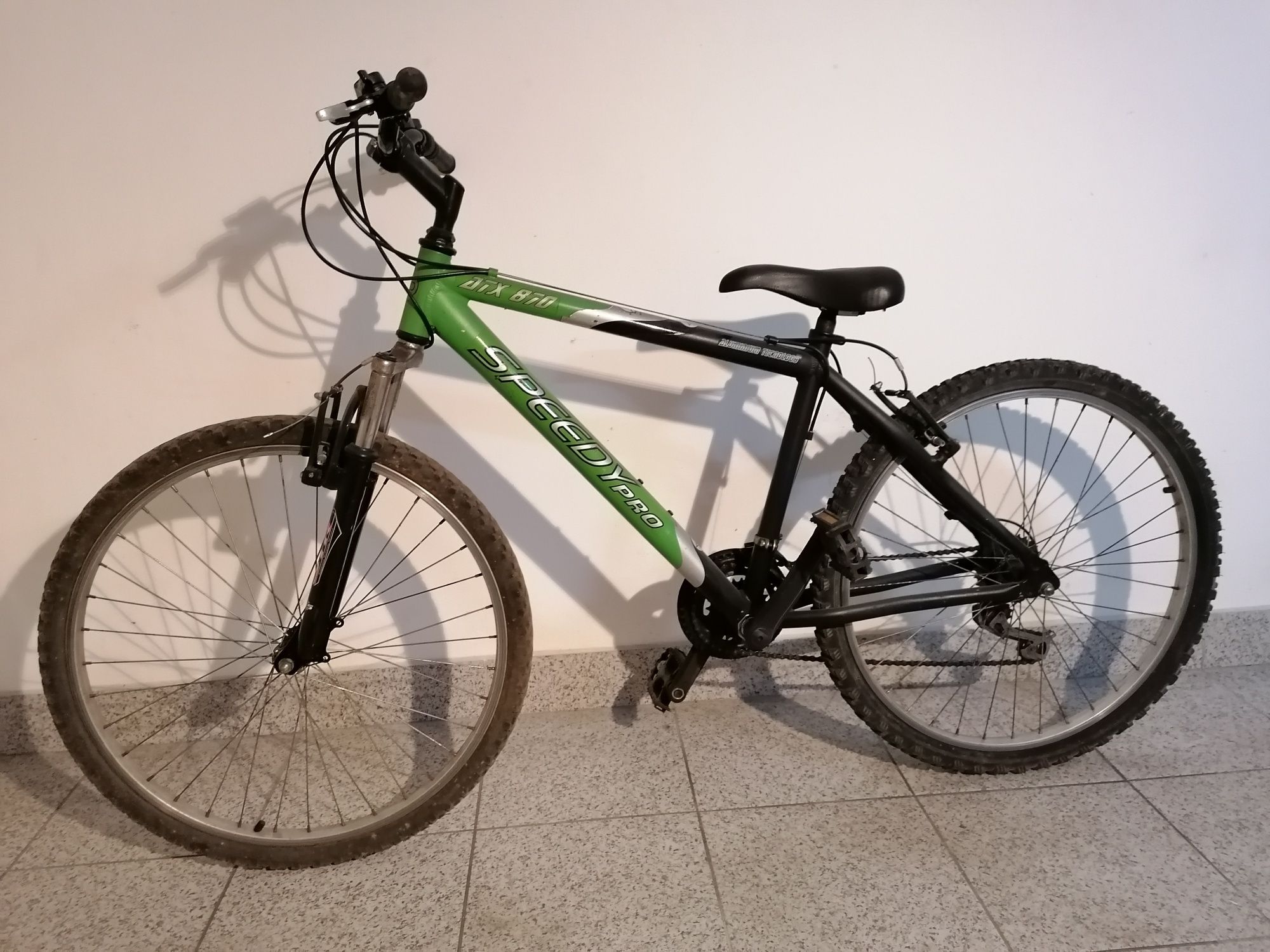 Bicicleta Speedy