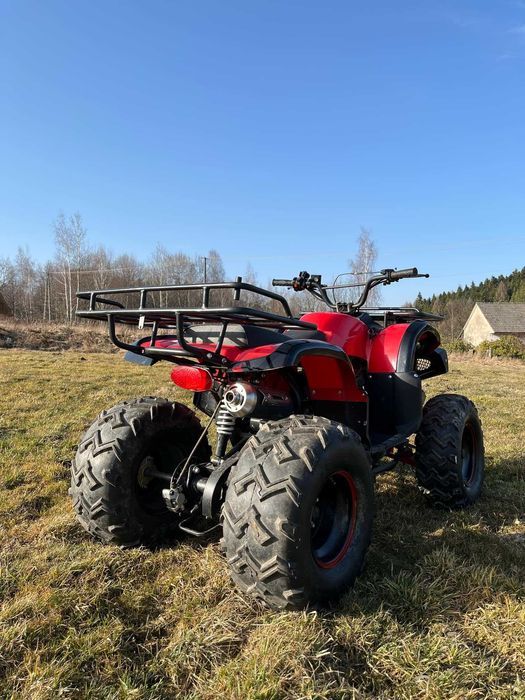 Quad 250 z Wciągarką i pługiem