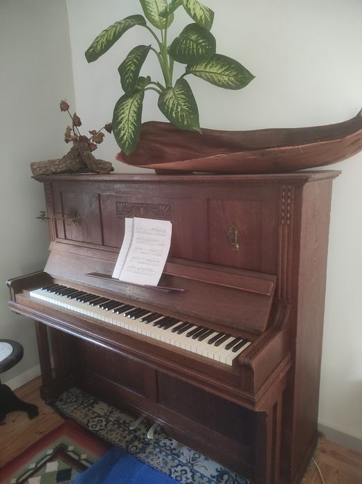 Aulas de piano domicílio/sala
