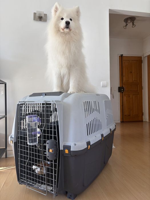 Transportadora Skudo Tamanho 7 – 105×73×76 cm – até 45 kg