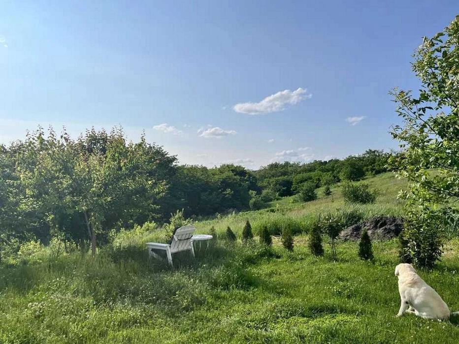 Від власника чудовий будинок. Музичі