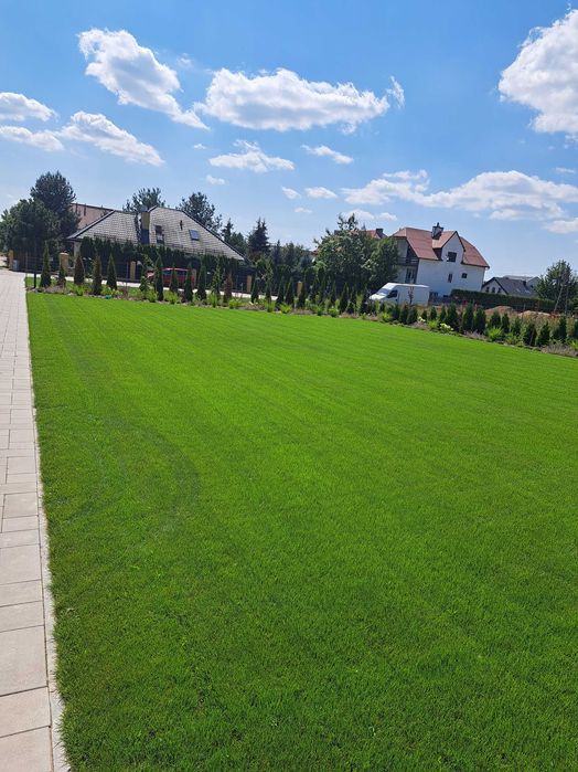 Zakładanie ogrodów, trawniki