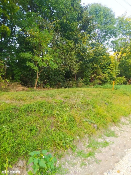 Działka budowlana na wzniesieniu