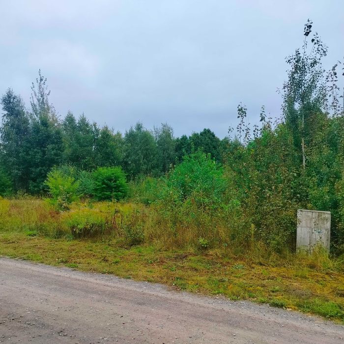 Atrakcyjna działka budowlana w Żyrardowie