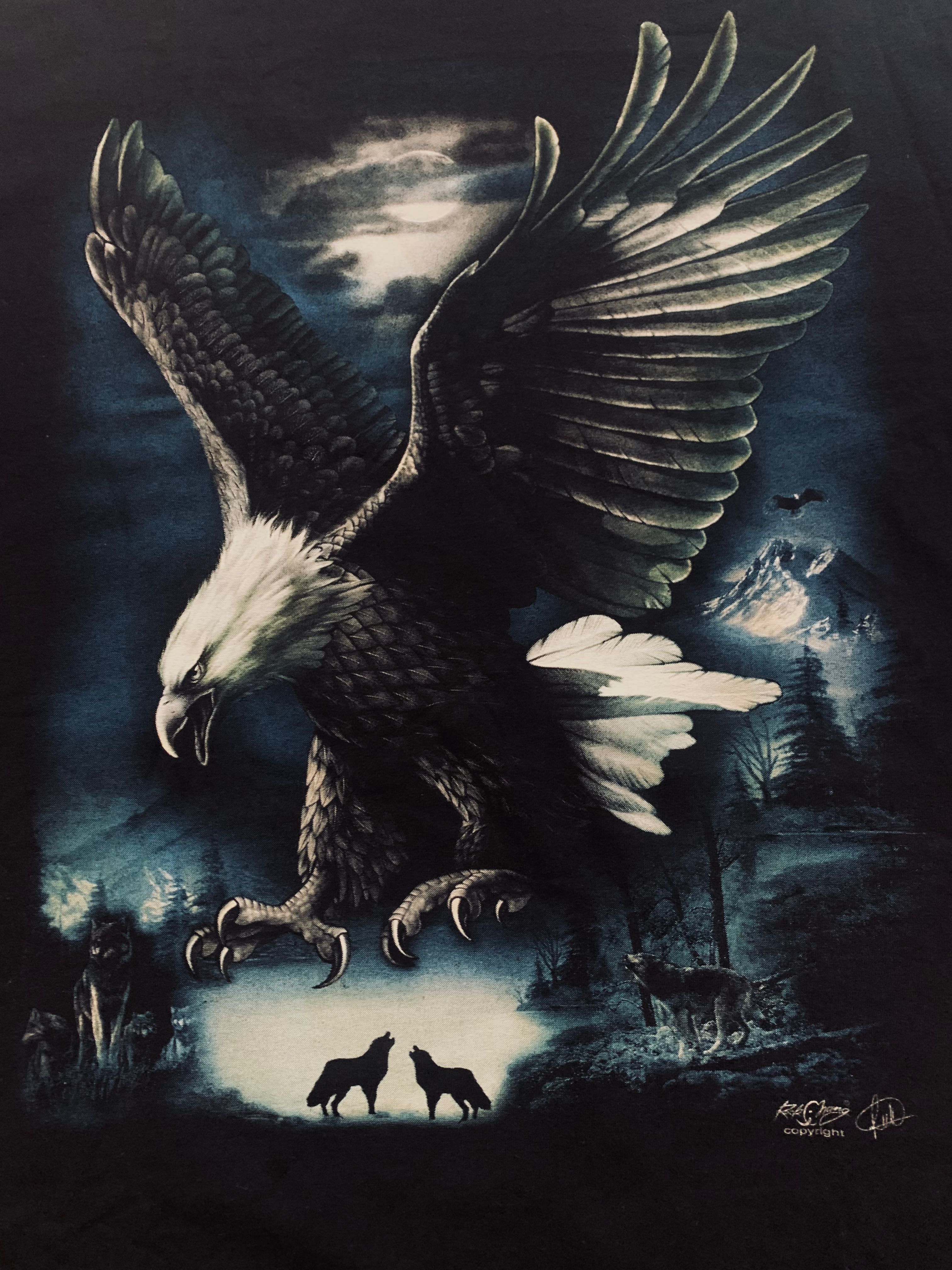 Rock Eagle & Rock Chang extra koszulka T-Shirt crewneck orzeł 3D 4XL