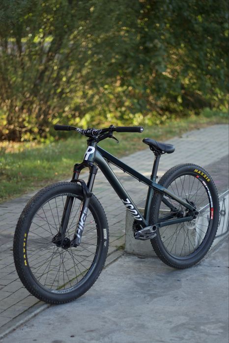 Rower Dirt Rose The Bruce 2 2021 | Freecoaster | hybryda