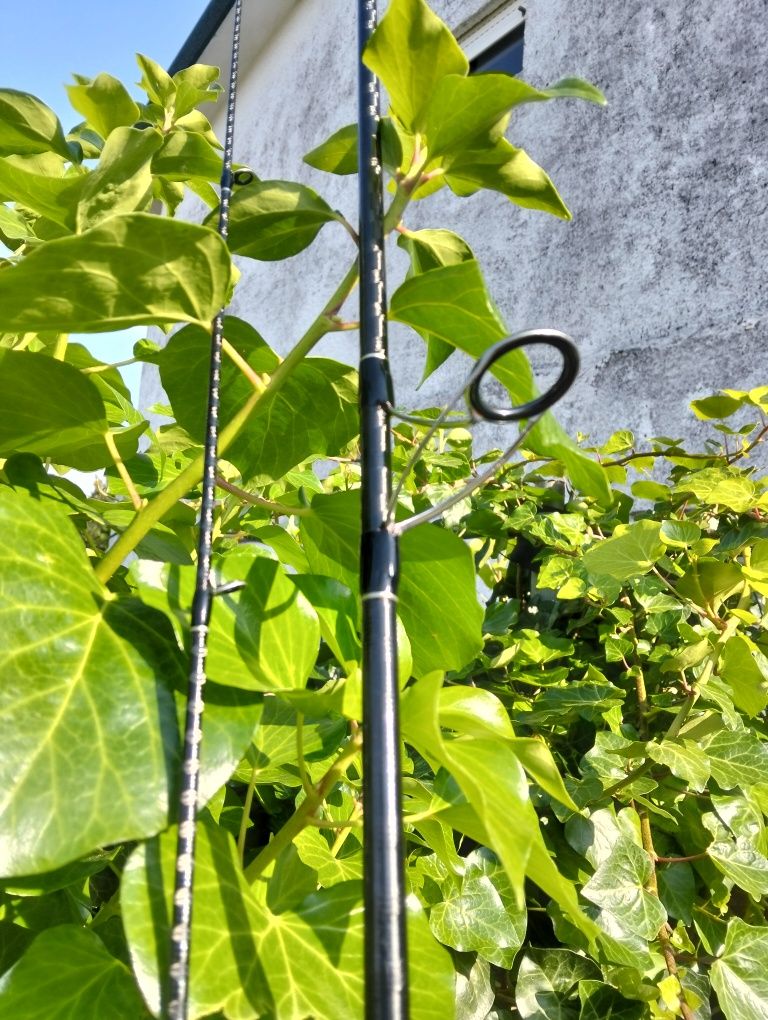 Cana Shimano dialuna spinning