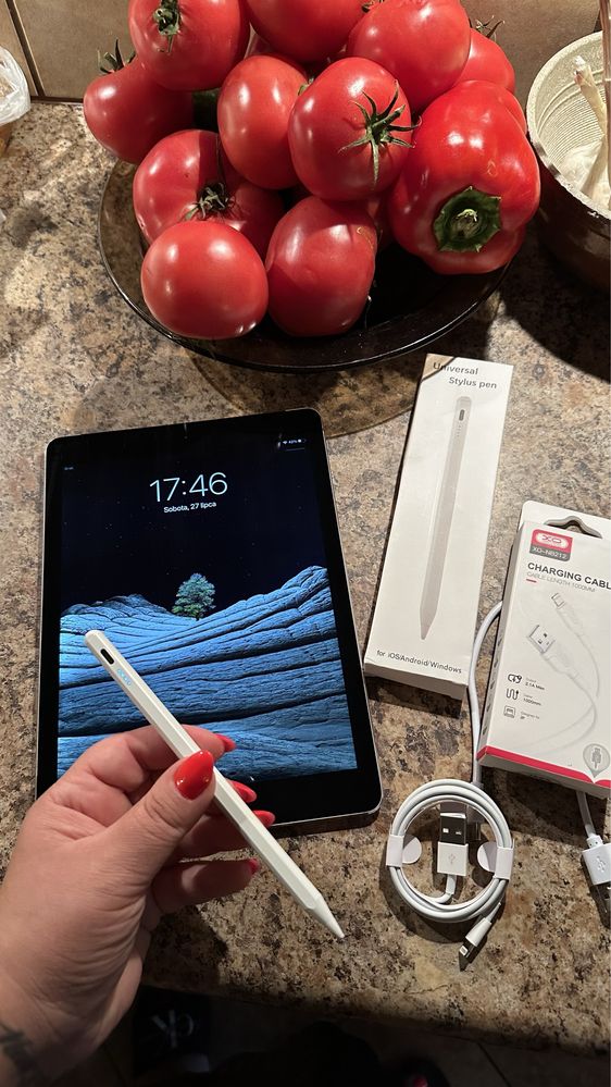 Tablet iPad Apple Retina - Touch ID - PROCREATE