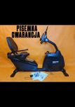 Jedyny taki KETTLER Giro R3 Rower Poziomy Tour 600 Giro 300 R