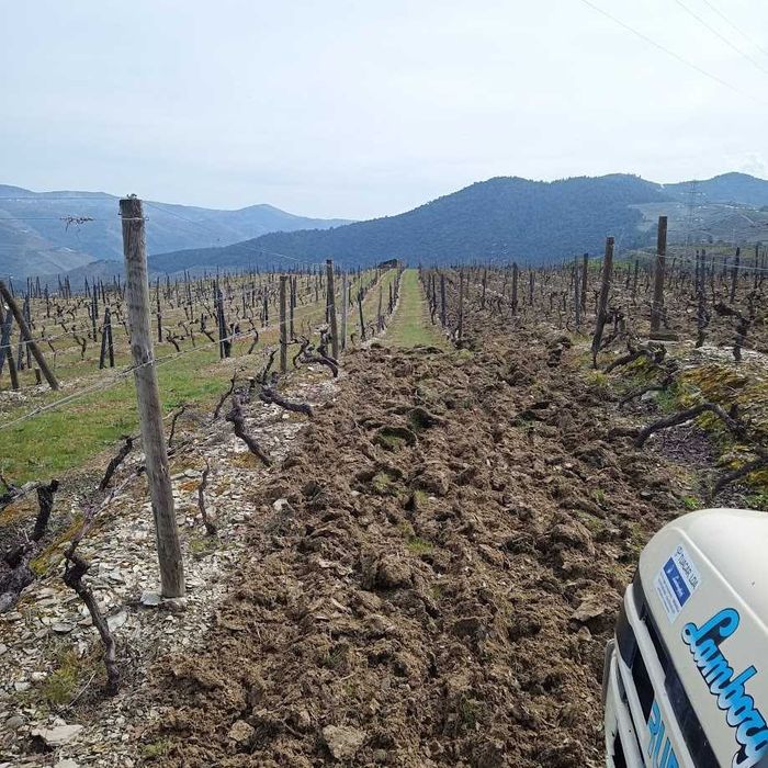 Vende-se terreno rústico em Valença do Douro - Tabuaço