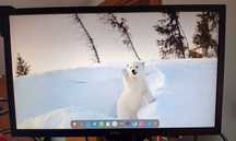 Monitor Benq 24" Full HD