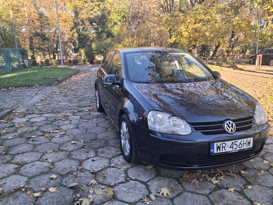Volkswagen Golf 2008 1.9tdi 105km sprowadzony zarejestrowany