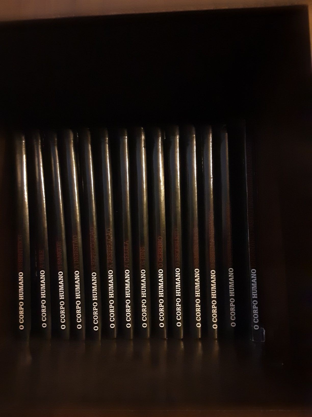 Coleção de Livros Corpo Humano