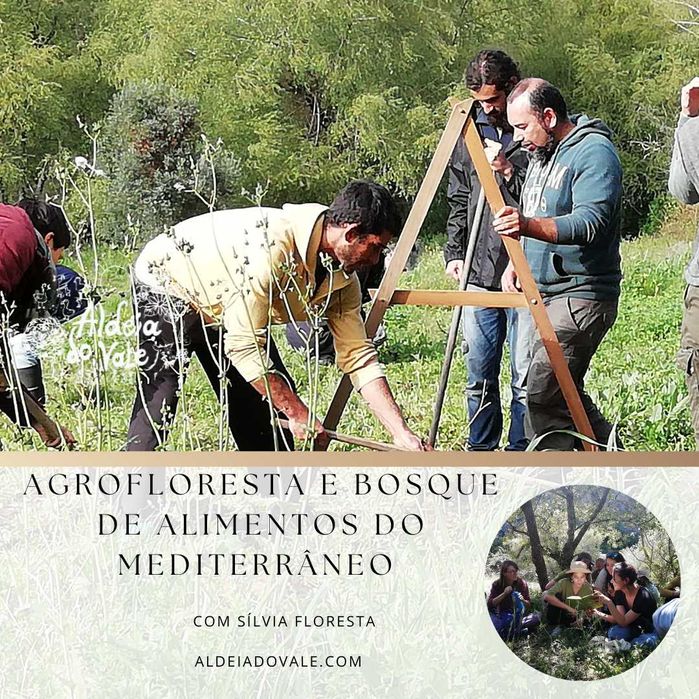 Formação Agrofloresta e bosque de alimentos