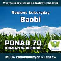 Kukurydza Baobi C1, opak. 80 tys. nas. | dlaroslin.pl