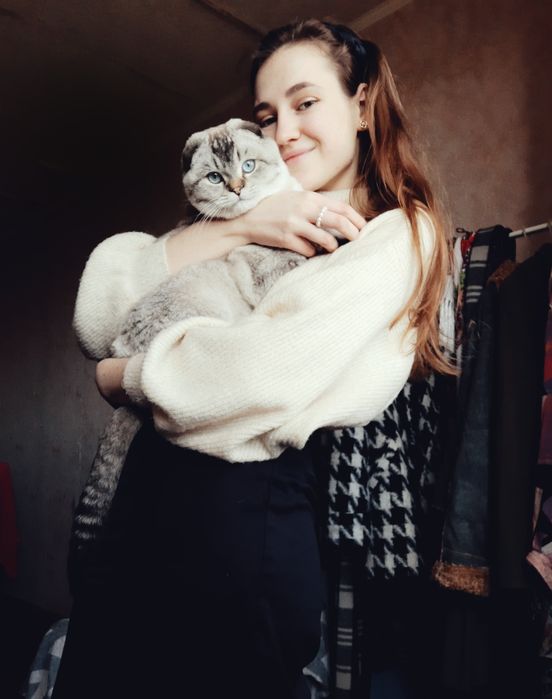 Скотишь фолд приглашает на вязку